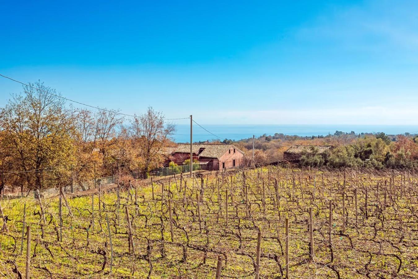 Camia Etna House Apartment Piedimonte Etneo